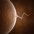 'Wake up call' over falling sperm counts