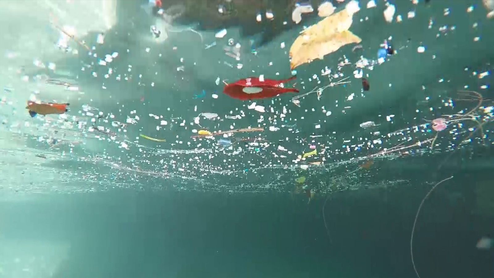 Plastic Chemicals From Ocean