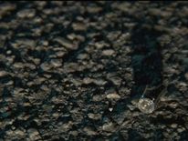 A bullet casing found outside the club