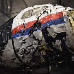 Report to shed more light on missile-downed MH17