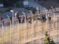 Dozens were left stranded on a fence on the border of the Spanish enclave Ceuta