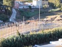 Dozens were left stranded on a fence on the border of the Spanish enclave Ceuta