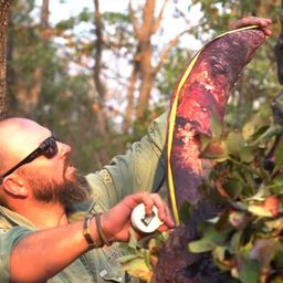 Hunter argues he is 'helping elephants survive'