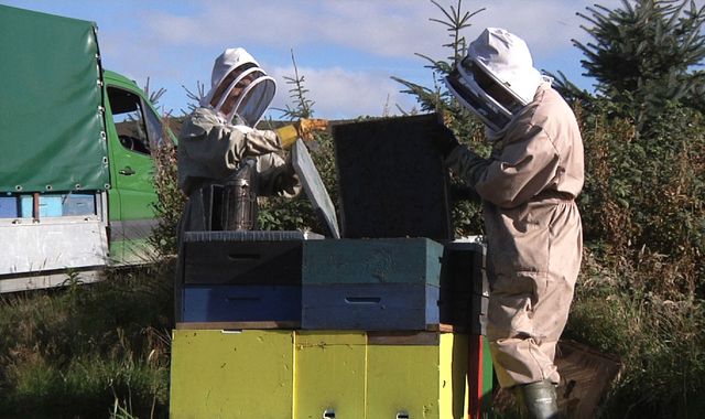 The new generation helping save British bees The new generation helping save British bees