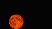 A blood-red Supermoon seen rising in the sky above High Wycombe in 2014