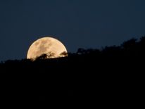 An unusually large and bright Moon -the closest 