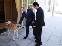 Russia&#39;s President Vladimir Putin presents his dog &#39;Yume&#39; to Japanese Prime Minister Shinzo Abe