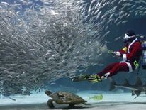 A diving Santa feeds sardines at an aquarium in Seoul, South Korea