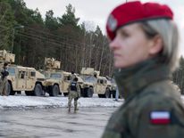 The US army said the force would improve its ability 'to respond to potential crises'