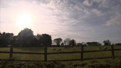UK farming 'at risk' after Brexit