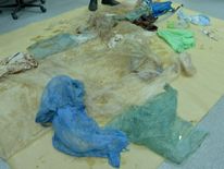 The whale's intestines were clogged with plastic, preventing it from feeding