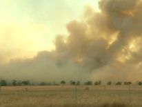 One fire alone burned through 124,000 acres