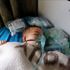 Sarin gas confirmed in Syria attack