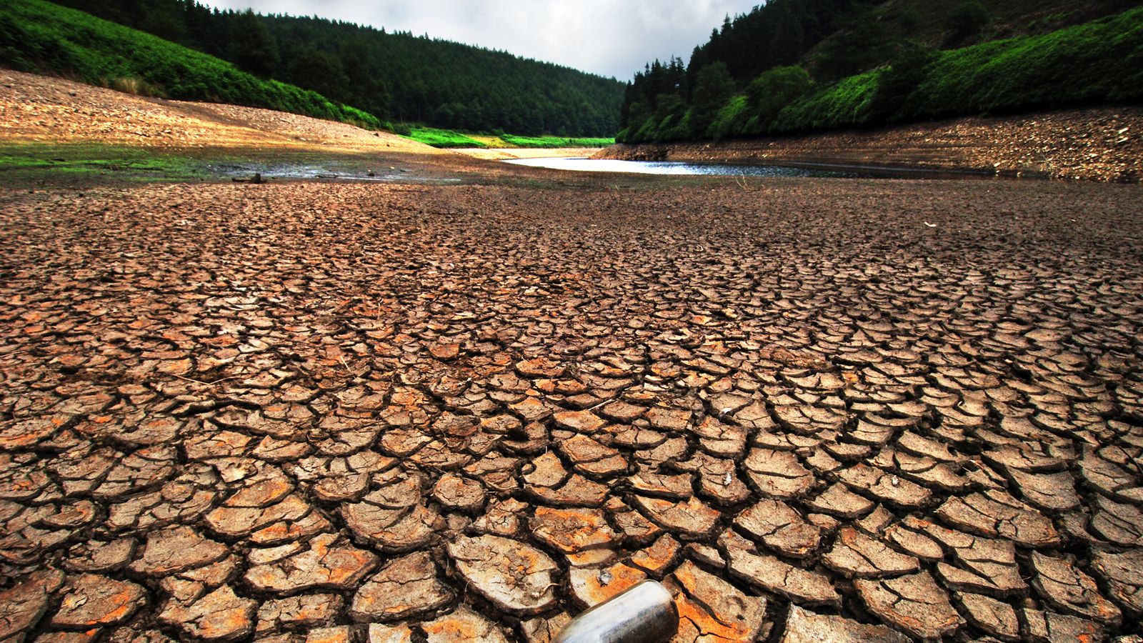 Fears of UK drought after months of low rainfall