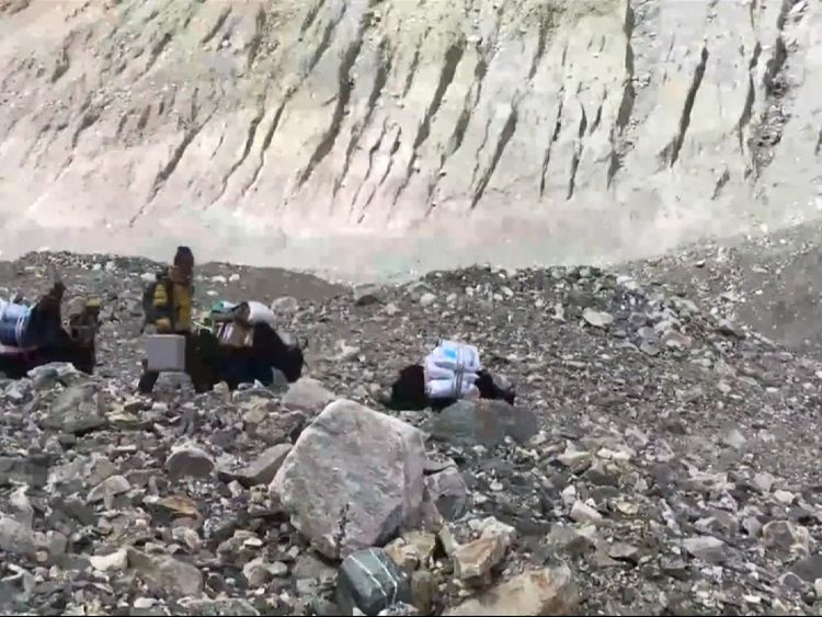 Yaks have been taking the collected rubbish down the mountain