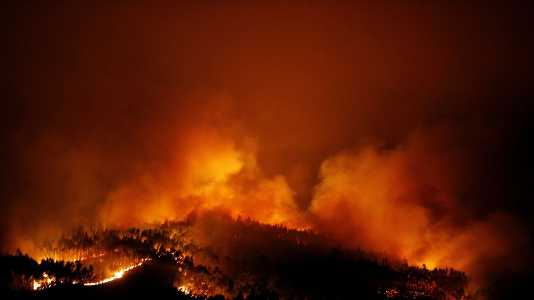Raging forest fire kills 61 in Portugal; many as they fled