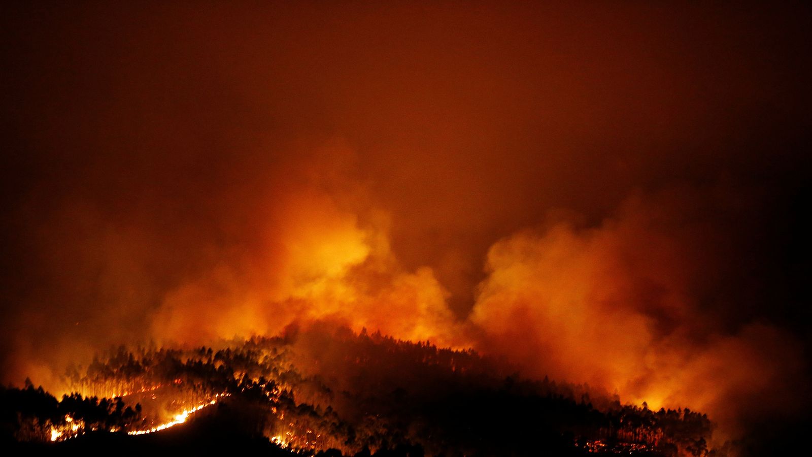 Dozens killed in Portuguese forest fires 61f898cce6cd2bcd644e2006a01f73dfb07879bd74a701d167be4463607577c7_3980608