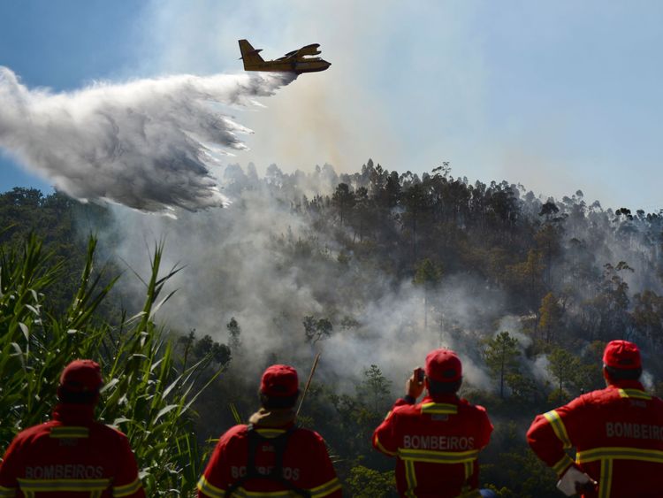Firefighters watch a firefighter plane trying to extinguish a wildfire at Monchique, Algarve,