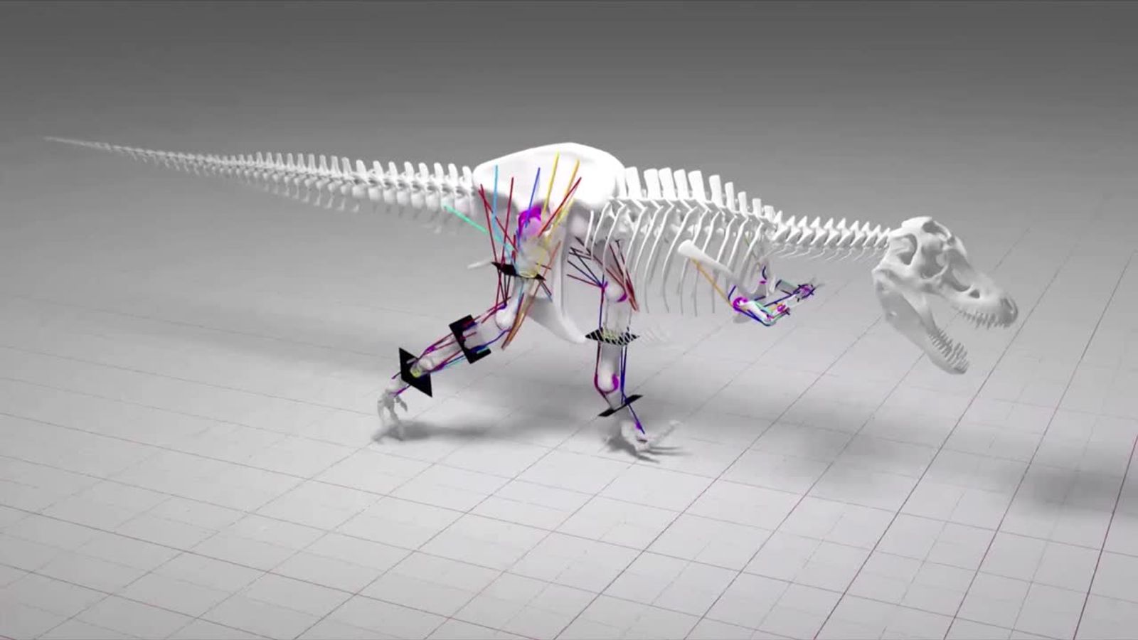 Human could have outrun T-Rex, research says