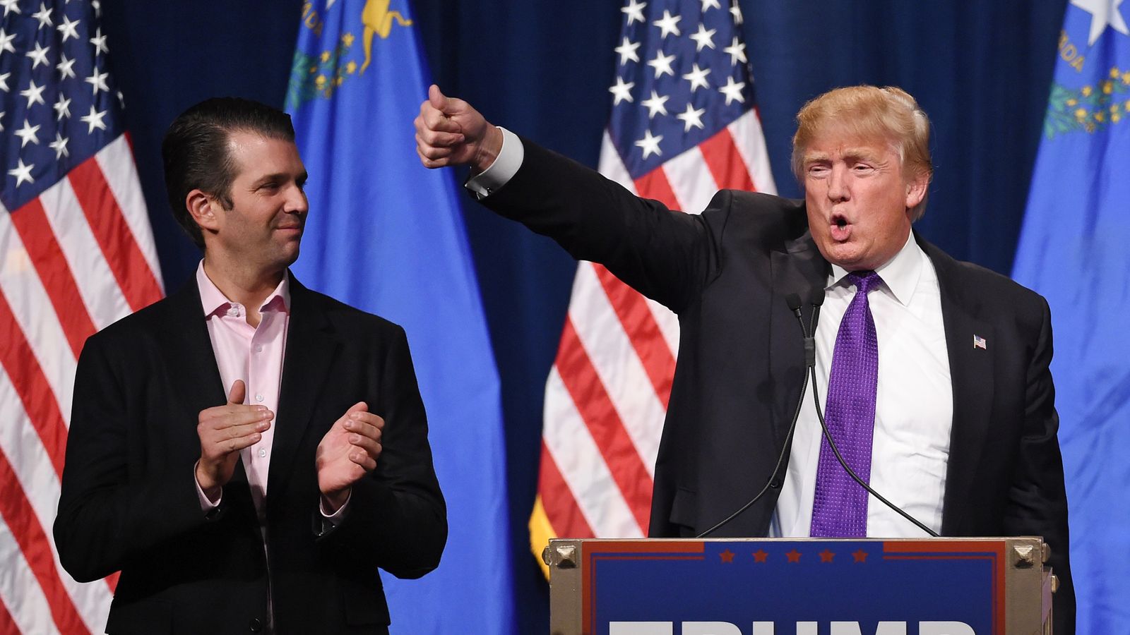 Trump Jr met the lawyer during the 2016 Presidential election campaign