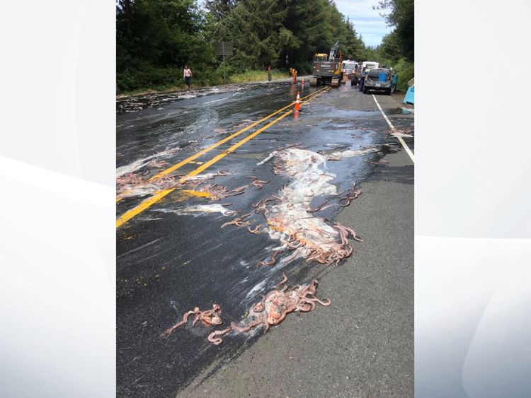 The eels transformed the highway into a slip road. Pic: Depoe Bay Fire District