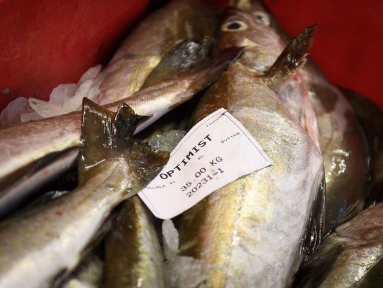 Ireland says Britain's withdrawal from fishing deal