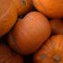 Pumpkin air freshener prompts US school evacuation