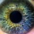 Patients regain vision after stem cell treatment
