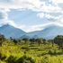 Two Britons kidnapped from DR Congo gorilla sanctuary