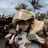 Volcano of Fire erupts again as death toll rises