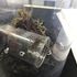 'Bird-eating' tarantulas feared on the loose in village