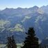 Several dead after small plane crashes in forest