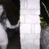 Doorbell woman defends abusive boyfriend