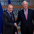European Council President Donald Tusk poses with European Union's chief Brexit negotiator Michel Barnier ahead of a meeting in Brussels