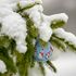 Snow settled on tress in Halifax after Christmas last year