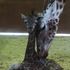 Birth of endangered giraffe brings Christmas joy to zoo