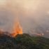 Several acres of moorland was on fire. Pic: Martyn Hughes