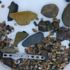 Croc owner gets calls about missing relatives after metal plate discovery