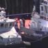 'More than 50' migrants rescued off south coast