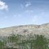 World's oldest fossilised forest discovered in China