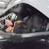 People smuggled in roof box