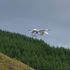 The drones will carry essential medical equipment such as COVID-19 tests and PPE to Mull