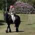 The Queen rides Balmoral Fern, a 14-year-old Fell Pony, in Windsor Home Park over the weekend