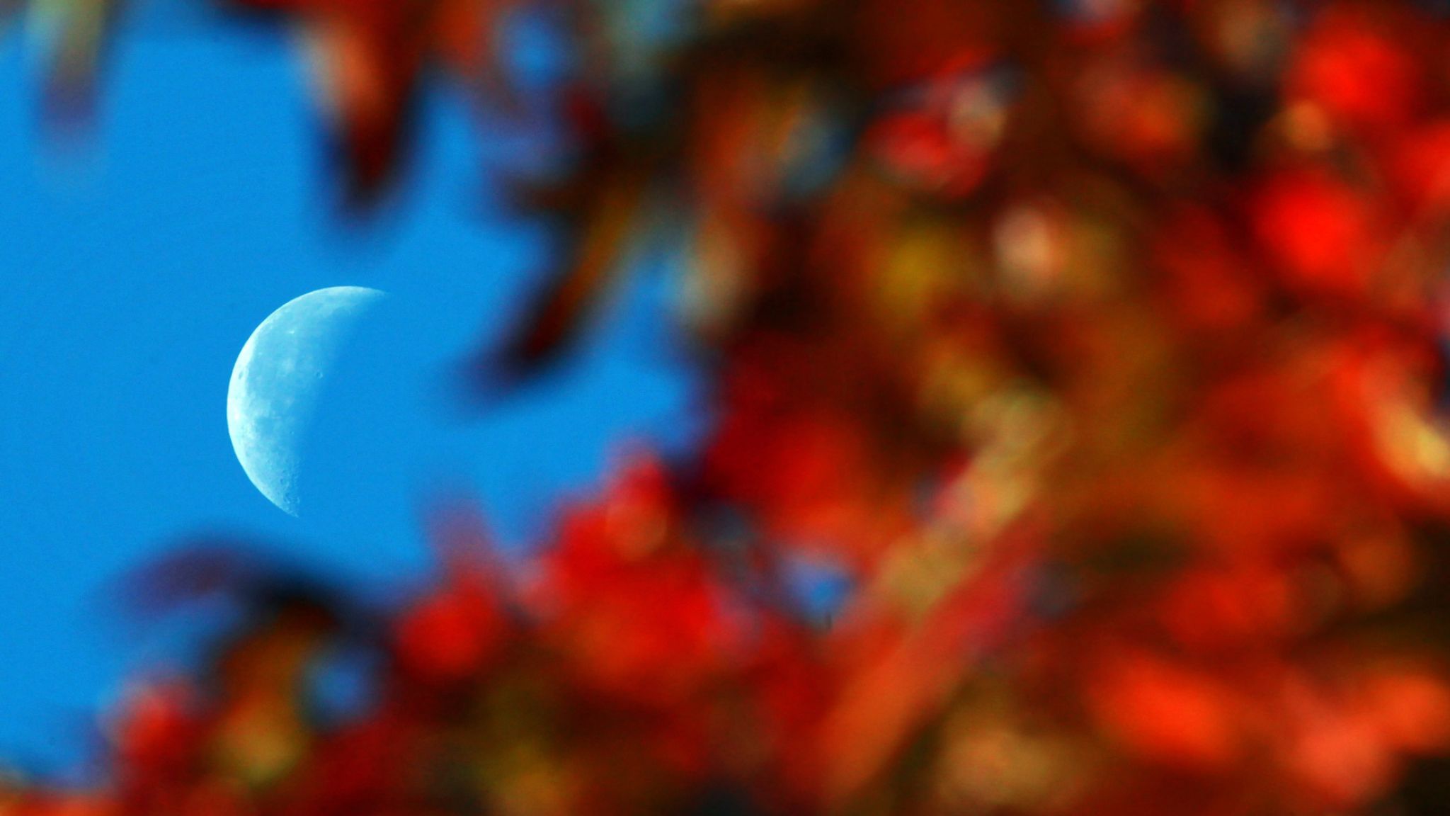 Осень Луна