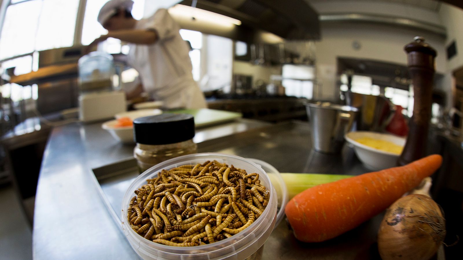 Dried mealworms could be hitting supermarket shelves and restaurants across Europe - Dried mealworms could be hitting supermarket shelves and restaurants across Europe