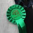 A Green wave overtook Bristol in the election, and it appears climate change wasn't the only reason