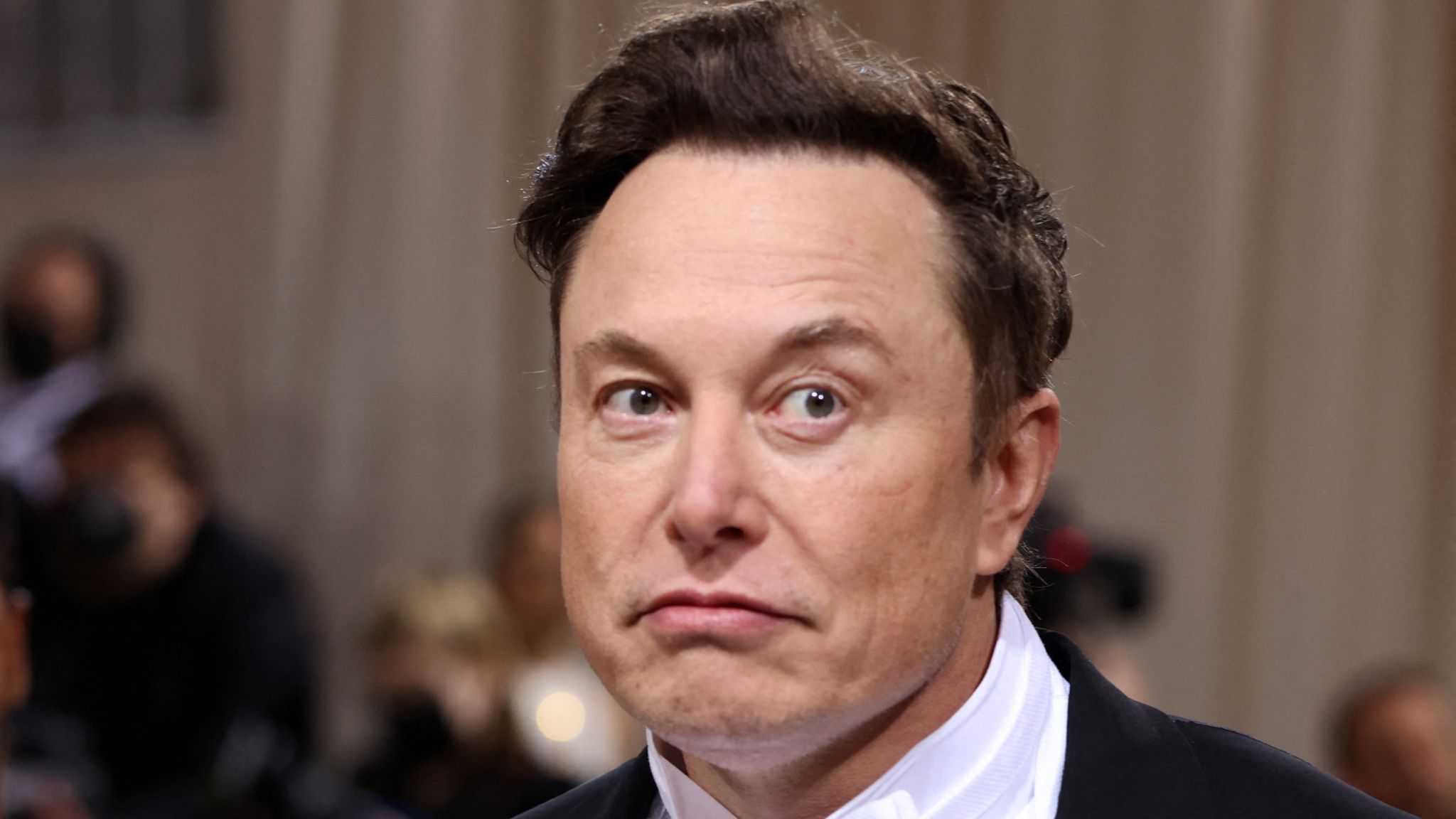 Elon Musk asks Twitter followers if he should bring back Vine | Science &  Tech News | Sky News