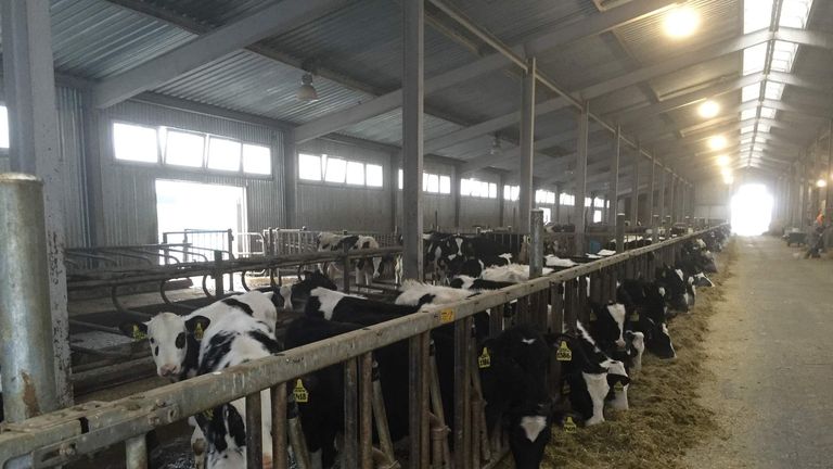 The Lenin Farm, on Moscow's southern boundary