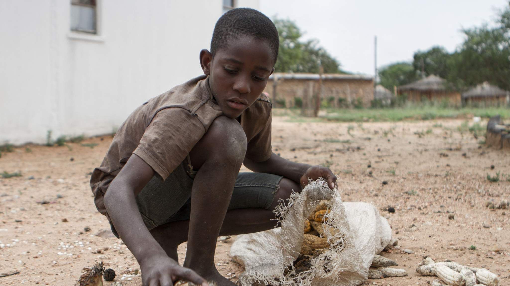 Бедность и голод. Голодные дети Зимбабве.