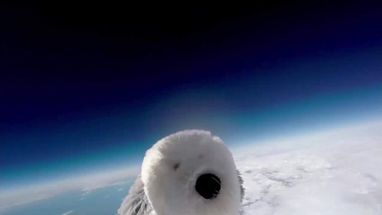 Cuddly Dog Goes Missing During Descent To Earth | Scoop News | Sky News Cuddly Dog Goes Missing During Descent To Earth | Scoop News | Sky News